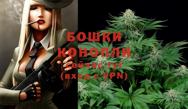 ГАЛЛЮЦИНОГЕННЫЕ ГРИБЫ Киреевск