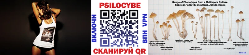 Галлюциногенные грибы Psilocybine cubensis  Купить где  Октябрьский 